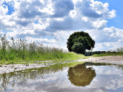 Anpassung an den Klimawandel: KliStar-Projekt als erfolgreiches Praxisbeispiel vorgestellt