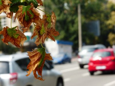 SAUBER zeichnet ein flächendeckendes, detailliertes Bild der aktuellen wie zukünftigen Luftqualität für die Stadt- bzw. Regionalentwicklung.